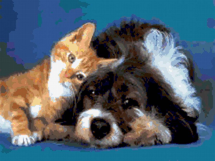 Дружба - животные, котята, собака, дружба - предпросмотр