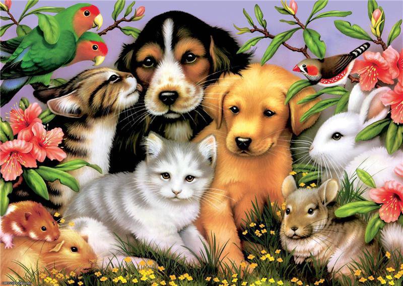 Домашние Милашки - домашни, кролик, картина, папугай, кошка, пейзаж, животные, собака, мышь - оригинал