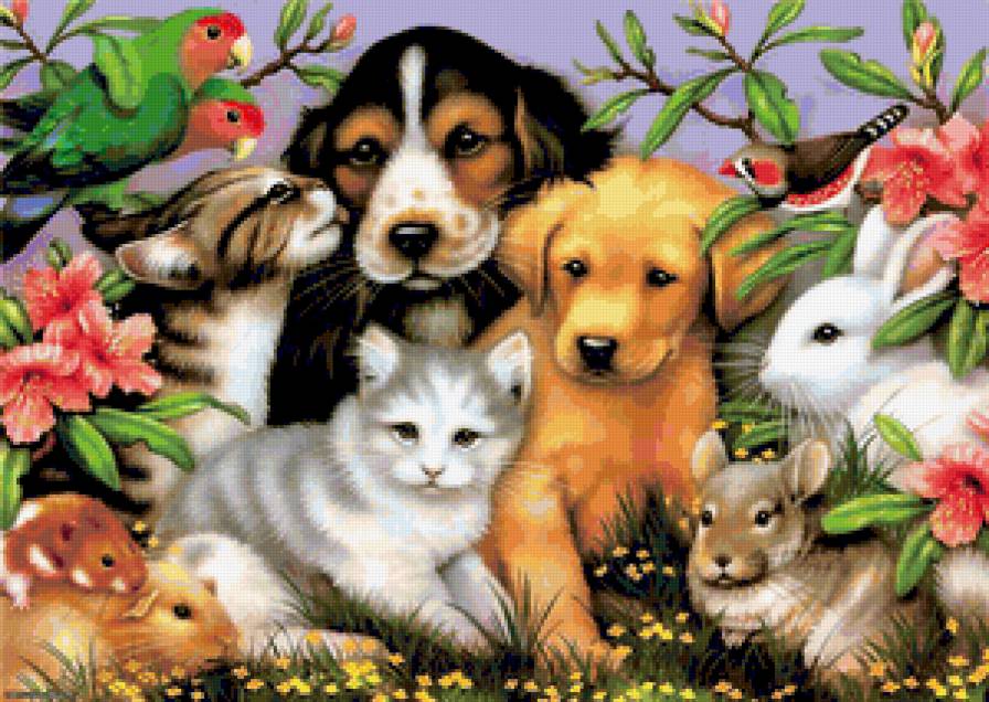 Домашние Милашки - животные, собака, мышь, папугай, домашни, картина, кролик, пейзаж, кошка - предпросмотр