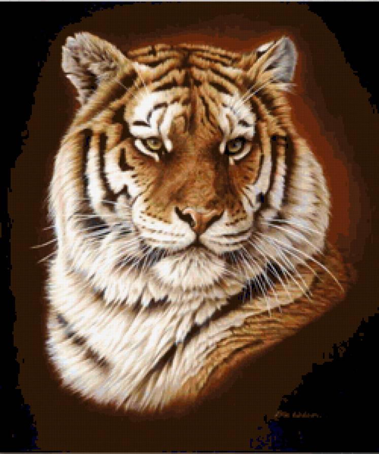 Тигр Сибирский - дикая кошка, тигр, картина, взгляд, хищник, зверь - предпросмотр