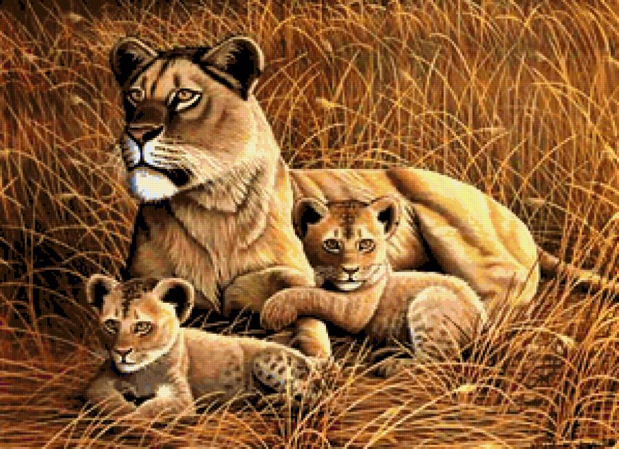 Семейство Львов - тигр, лев, малыши, дикая кошка, семейство, зверь, поле, хищник, трава - предпросмотр