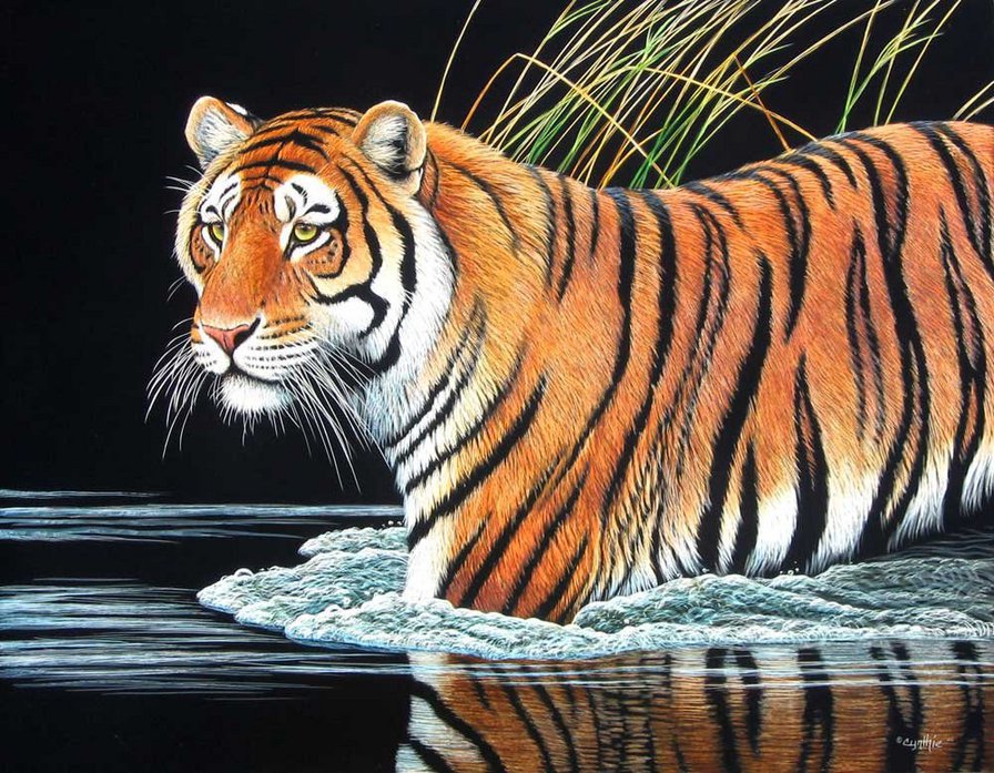 Тигр у Водоёма - хищник, тигр, дикая кошка, животное, зверь, водоем - оригинал