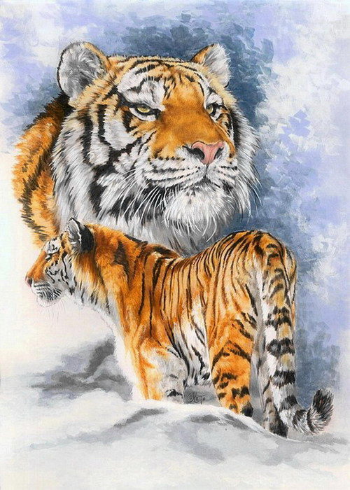 Тигры - лес, взгляд, картина, зверь, хищник, дикая кошка, тигр, животное - оригинал