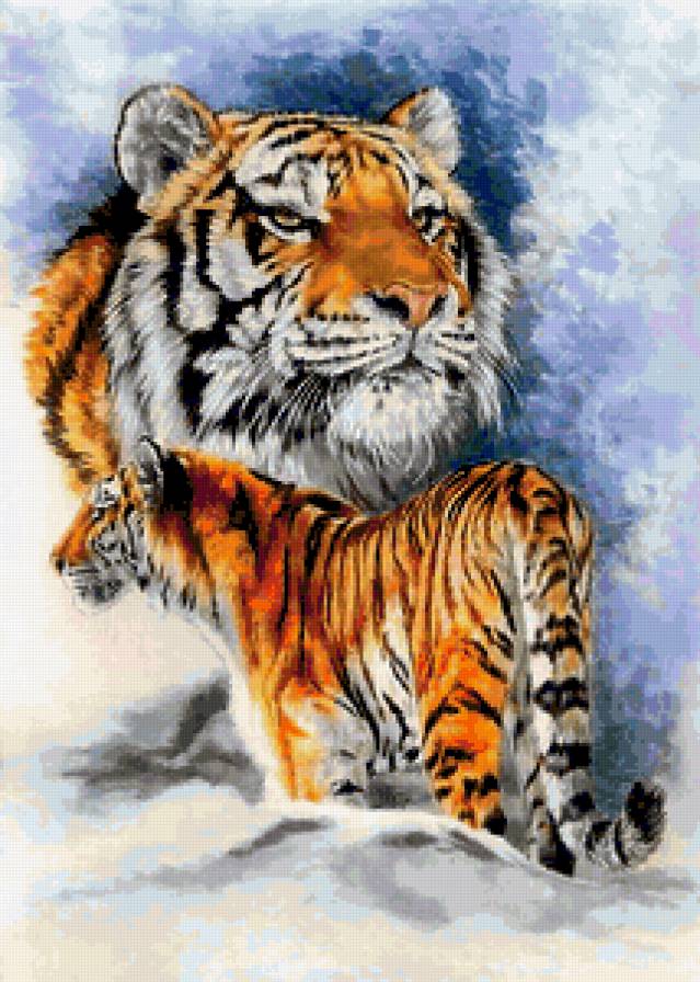 Тигры - дикая кошка, взгляд, хищник, лес, тигр, картина, животное, зверь - предпросмотр