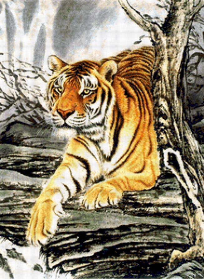Сибирский Тигр - хищник, зверь, тигр, животнок, диеаякошка, лес - предпросмотр