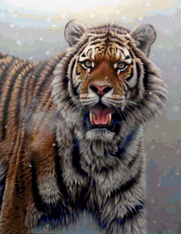 Сибирский Тигр - зверь, хищник, животное, дикая кошка, тигр - предпросмотр