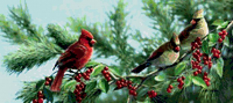 птицы Бредли Джексона - лес, птицы, ягоды, природа - предпросмотр