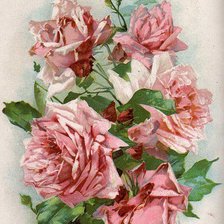 Оригинал схемы вышивки «букет роз» (№279105)