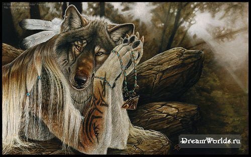 волчица - животное, этника, волк - оригинал