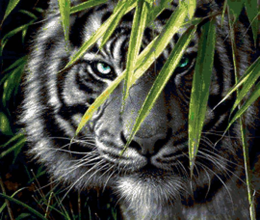 взгляд из джунглей - тигр, джунгли, животное - предпросмотр
