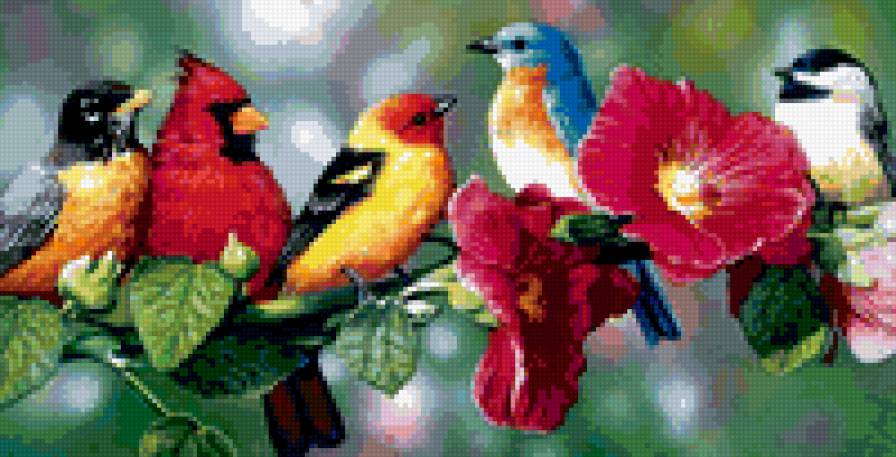 птицы Бредли Джексона - природа, птицы, лес, ягоды - предпросмотр