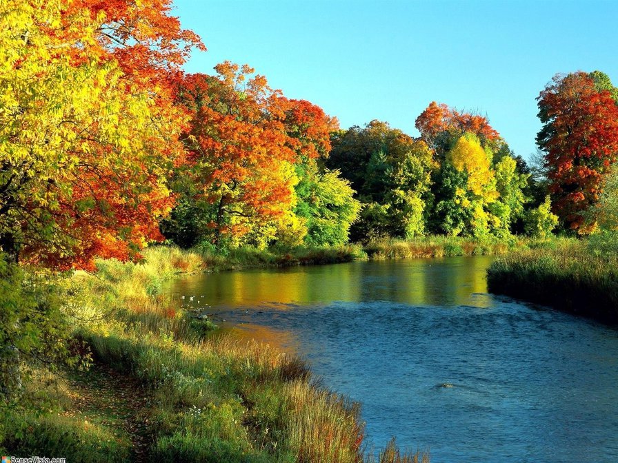 Осенний пейзаж - река, осень, природа, пейзаж - оригинал