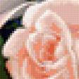 Предпросмотр схемы вышивки «Розы» (№279791)