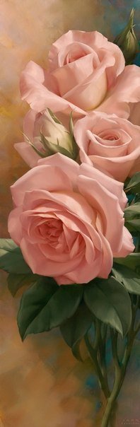 цветы розовые - цветы, розы - оригинал