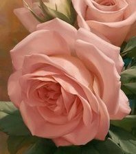 Схема вышивки «цветы розовые»
