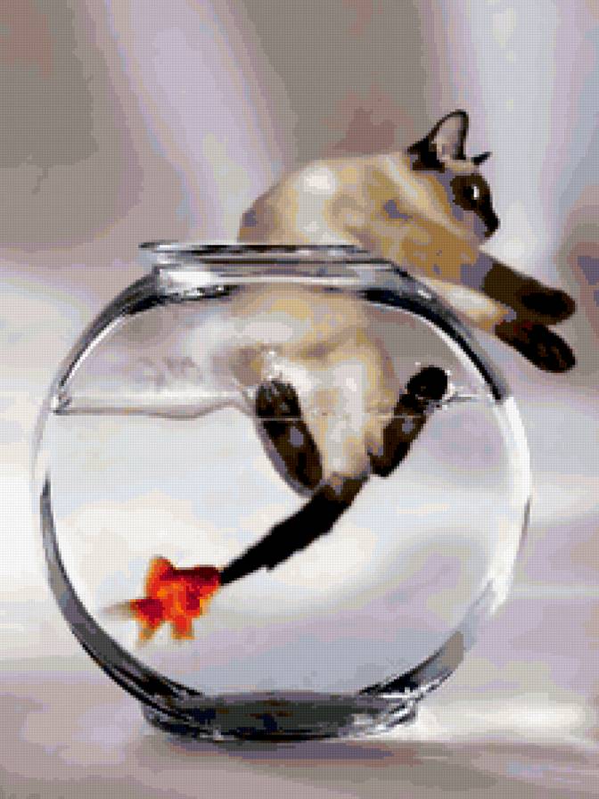 киса - киса, кот, аквариум, рыбка - предпросмотр