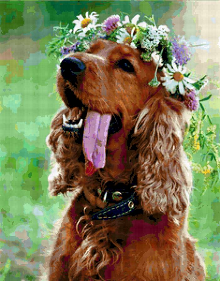 Красавчик - собака, клевер, ромашки, венок, цветы, животные - предпросмотр