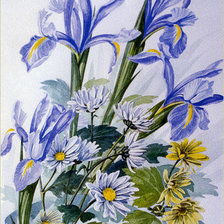 Оригинал схемы вышивки «полевые цветы» (№281014)