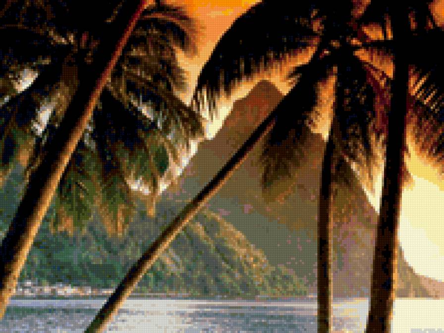 пальмы, море... - море, остров, пейзаж - предпросмотр