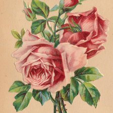 Оригинал схемы вышивки «букет роз» (№281160)