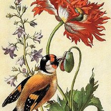 Оригинал схемы вышивки «птичка на цветах» (№281236)