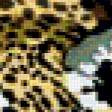 Предпросмотр схемы вышивки «Леопарды» (№281557)