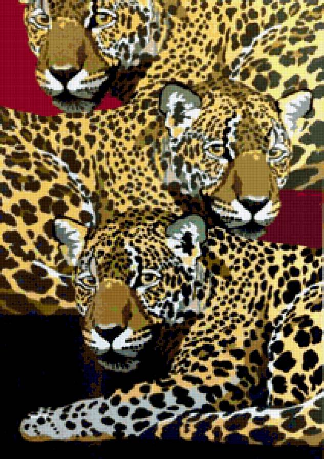 Леопарды - животные, звери, леопарды, леопард, дикие кошки - предпросмотр