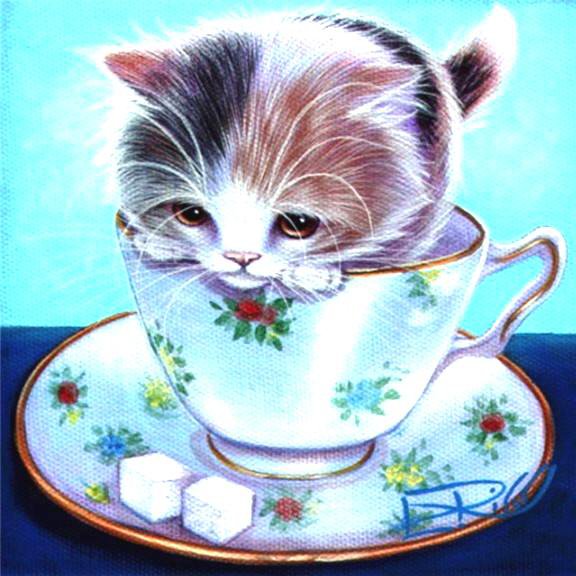 Котёнок в чашечке - кот, котята, посуда, кошки, чашечка, малыши, кошка, коты - оригинал