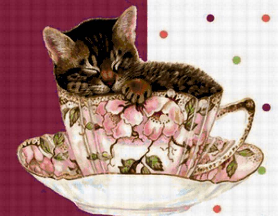 Котёнок в чашечке - малыши, коты, кошки, котята, кошка, посуда, чашечка, кот - предпросмотр