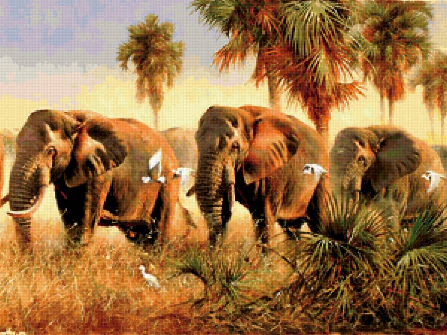 Слоны - животные, слон - предпросмотр