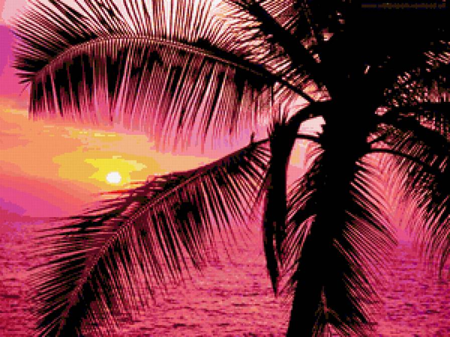 Пальмы - енбо, закат, море, пальмы, волы, пейзаж - предпросмотр