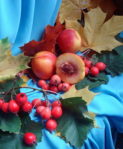 осенний натюрморт - осень, фрукты, персики, ягоды, натюрморт - оригинал