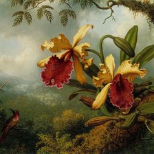 Оригинал схемы вышивки «орхидеи в лесу» (№282569)