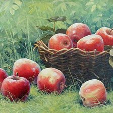 Оригинал схемы вышивки «яблоки» (№283155)
