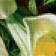 Предпросмотр схемы вышивки «белоснежные лилии» (№283326)