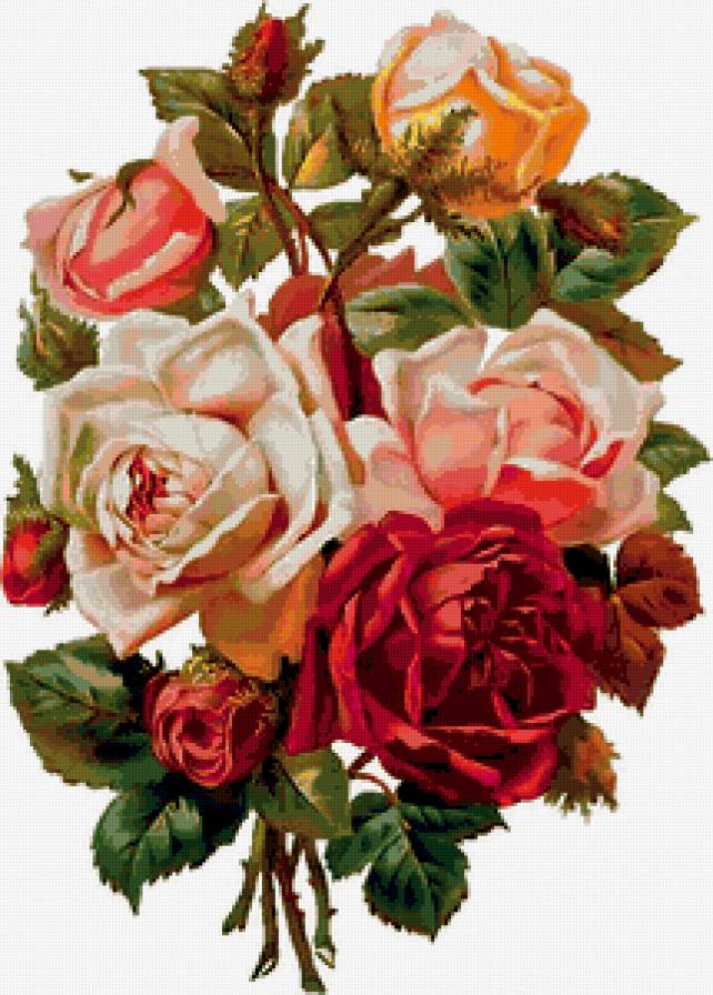 Букет роз - цветы, розы, картина, букет - предпросмотр