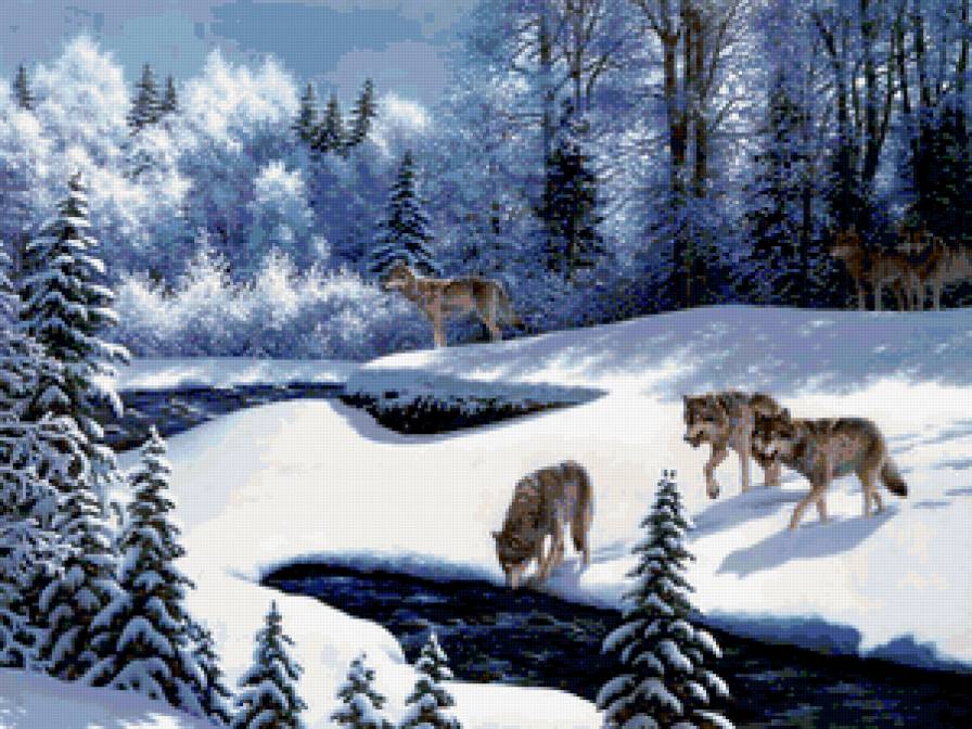 волки - волки, лес, весна, проталины, животные - предпросмотр