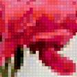 Предпросмотр схемы вышивки «Цветы» (№284467)