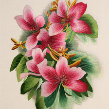 Оригинал схемы вышивки «цветы» (№284485)