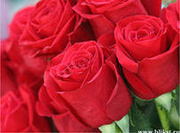 №285128 - розы, букеты, цветы - оригинал
