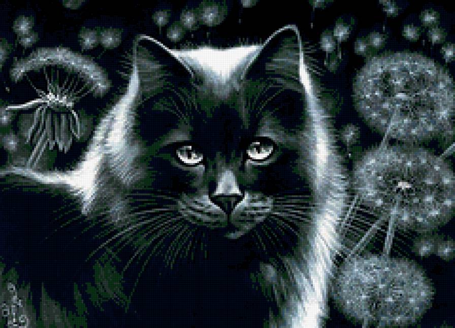 Черная кошка - животные, кошка - предпросмотр