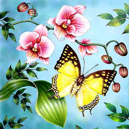 Бабочка и орхидеи - цветы, узор, подушка, бабочка - оригинал