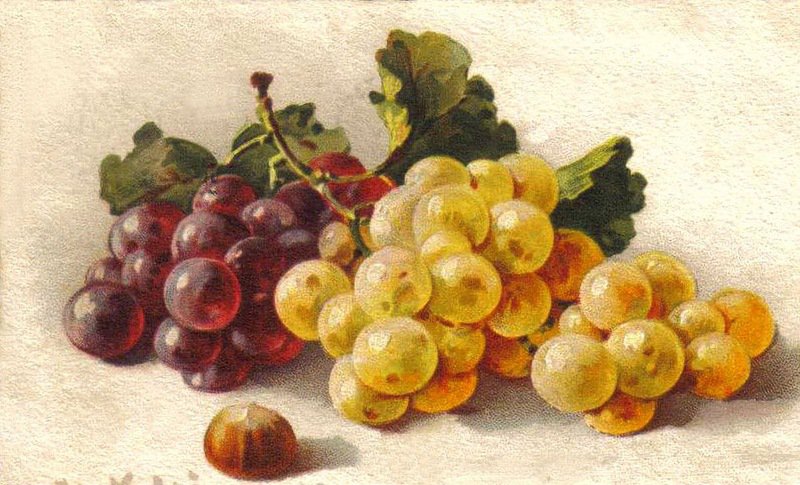 виноград - картина - оригинал