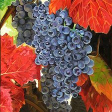 Оригинал схемы вышивки «виноградная гроздь» (№285610)