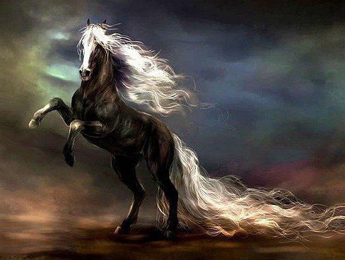 Белогривый конь - лошади, картина, животные - оригинал