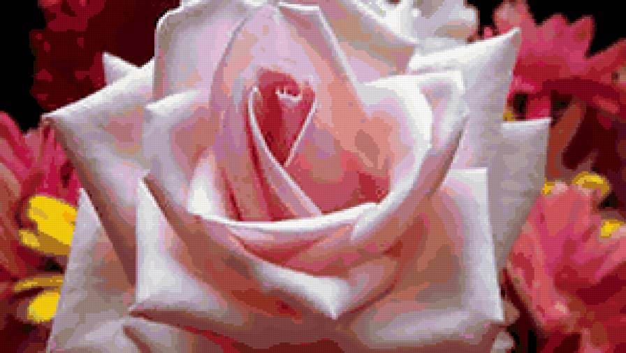 №285932 - розы, цветы, букеты - предпросмотр