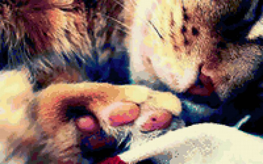 сладкий сон - кошка - предпросмотр