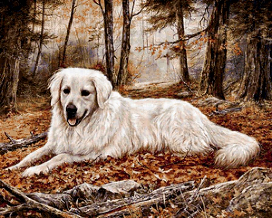 собака - природа, осень, лес - предпросмотр