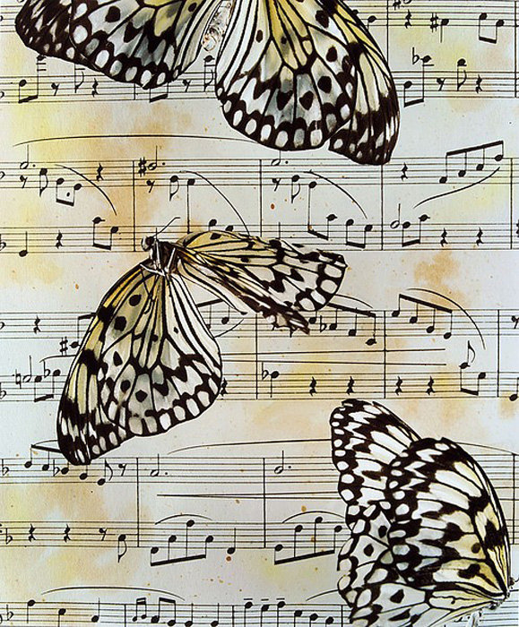 бабочки и ноты - бабочки, ноты, музыка - оригинал