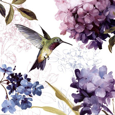 колибри - гортензия, цветы, колибри, птицы - оригинал